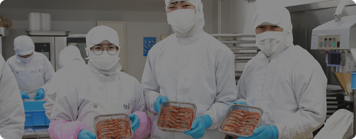 採用情報