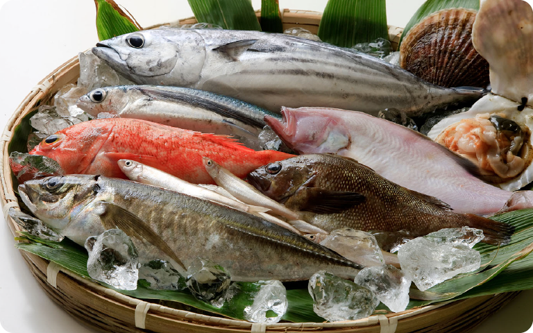 未利用魚の活用